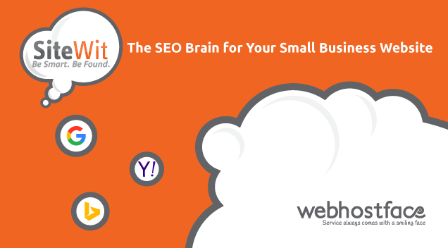 Read more about the article SiteWit: the SEO Brain for Your Small Business Website